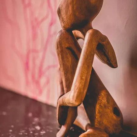 Le De Romane Domaine Du Vendangeoir Semesterbostad *